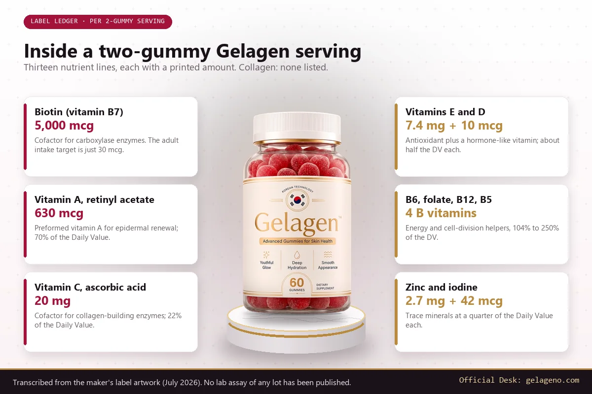 Gelagen two-gummy serving infographic with biotin 5,000 mcg highlighted